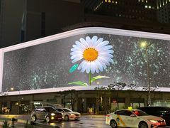 -新世界百货(明洞总店)