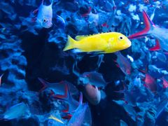 -成都浩海立方海洋公园