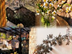 -MOJ coffee(瓯海泽雅水碓坑店)