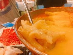 -鲜入围煮花胶鸡海鲜火锅