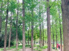 -黄兴公园