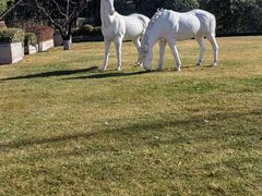 -春晖园度假酒店温泉