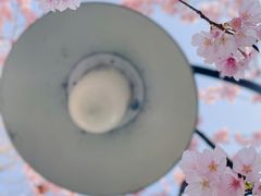-静安雕塑公园
