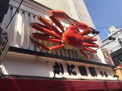 -蟹道乐(道顿堀本店)