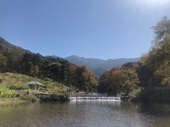 -广州市石门国家森林公园