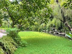 -桂湖森林公园