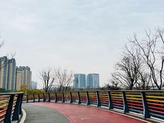 -府河摄影公园