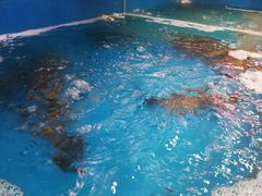 -潮喜竹溪荔湖酒家(荔枝湾店)