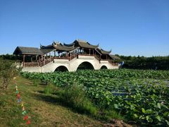 -上海海湾国家森林公园