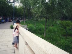-东郊湿地公园