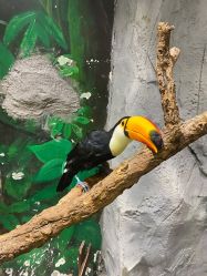 -Zoolung Zoolung动物主题公园(海信广场店)