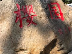 -武汉大学-樱园