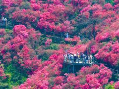 -木兰云雾山
