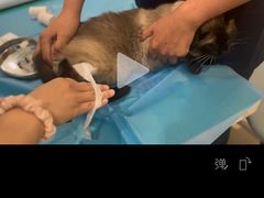 -美迦爱-牙专科·兔科·骨科诊疗中心(北苑店)
