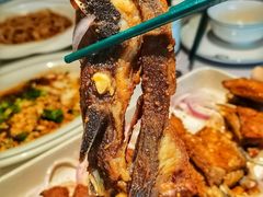 -新兴·金羊座·粤菜点心(乐峰店)