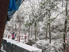 -青城山
