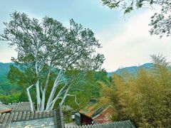 -潭柘寺景区