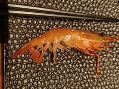 -月龍吟(朝龙汇店)
