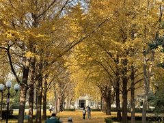 -北京理工大学(中关村校区)