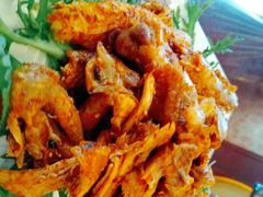 渔村手撕鸡-百姓渔村(朝阳店)