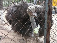 -草根堂农场