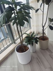 -HEYAN荷妍专业脱毛连锁机构