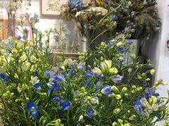 -植物学家的女儿(北马道巷店)