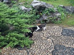 -采石矶景区