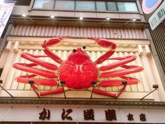 -蟹道乐(道顿堀本店)