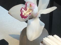 -逸道(益丰·外滩源店)