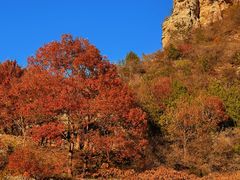 -圣莲山风景区