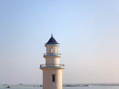 -枸杞岛