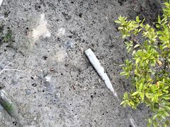 -北海金海湾红树林生态旅游区