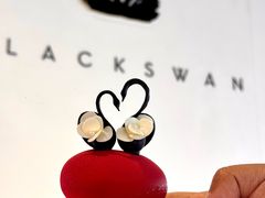 -BLACKSWAN黑天鹅(环球店)