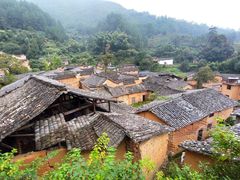 -杨家堂村