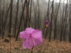 -吉林拉法山
