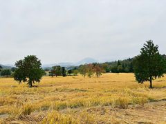 -塔川景区