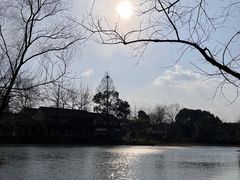 -西溪国家湿地公园