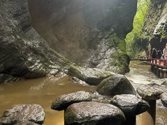 -牛背梁国家森林公园