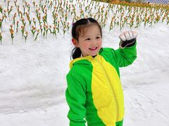 -广州热雪奇迹