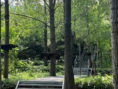 -黄金寨原生态旅游区