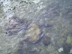 -西涌国际滨海旅游区