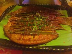 -别院里音乐餐酒吧(双流航空港店)