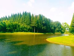 -黄海国家森林公园