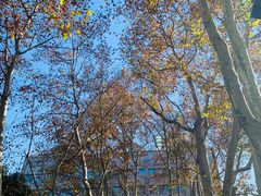 -静安公园(静安寺街道)