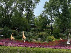 -中国大熊猫保护研究中心雅安碧峰峡基地