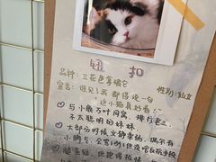 -MOYOYO猫咪咖啡店
