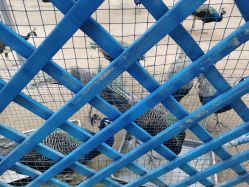 -萌宠亲子动物乐园(槐房万达店)