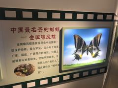-上海昆虫博物馆