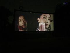 -枫花园汽车电影院(朝阳公园店)